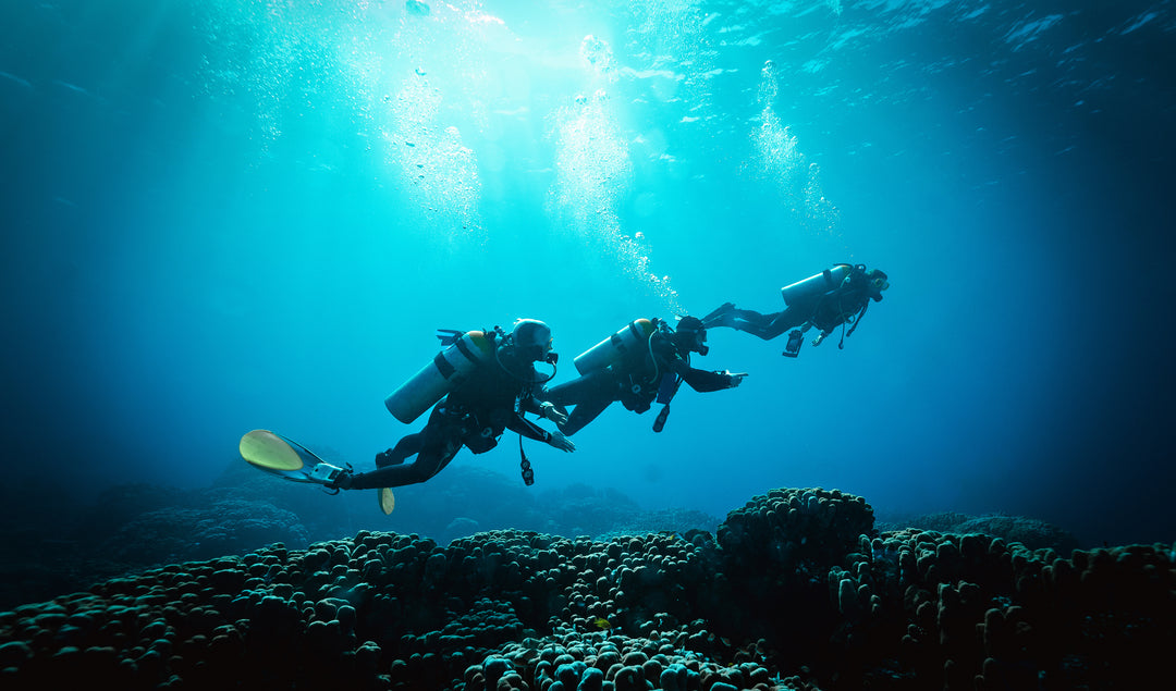 Open Water  Scuba Scuba diving course