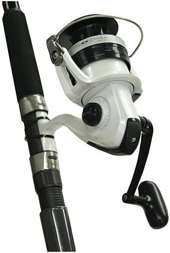 Daiwa D-Wave Saltwater Spinning Combo (2 Piece)