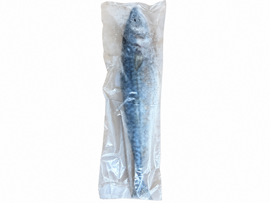 Frozen Bait