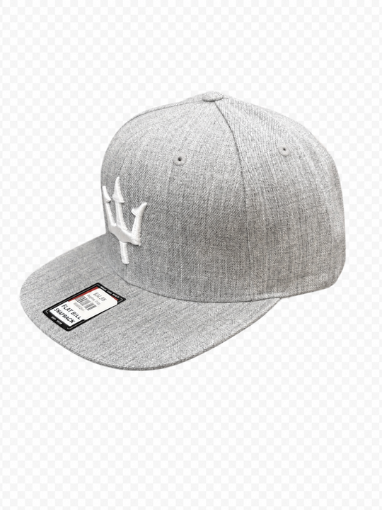 BWH Hats - Trident Flat Bill Snapback