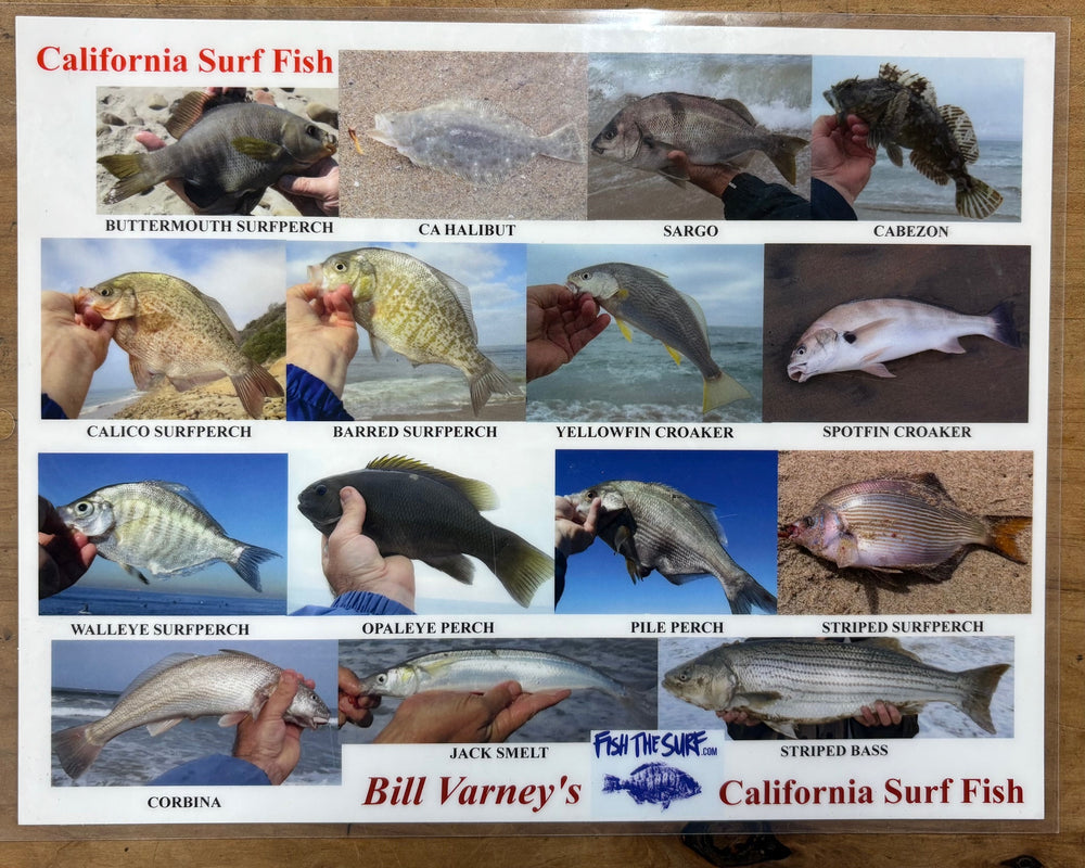 Bill Varney's California Surf Fish