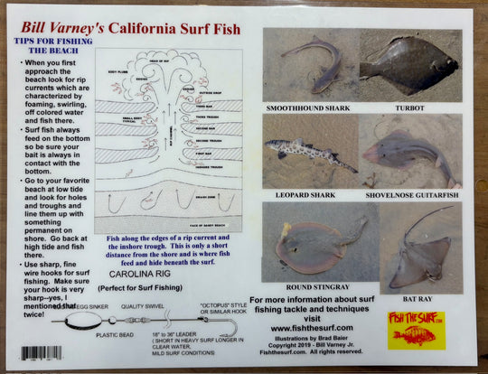 Bill Varney's California Surf Fish
