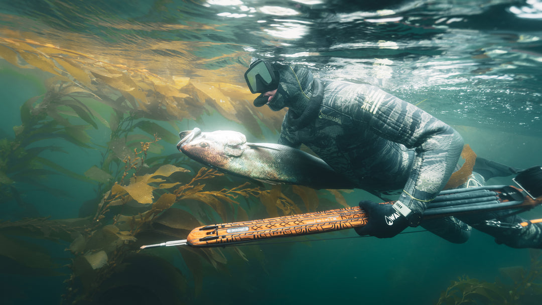 Into to Spearfishing Class