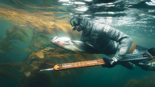 Into to Spearfishing Class