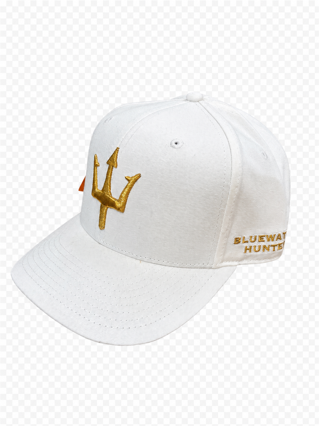 BWH Hats - Trident Flat Bill Snapback