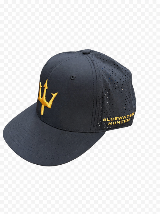 BWH Hat - Trident Perforated 6 Panel