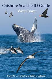 Offshore Sea Life ID Guide West Coast