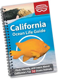 California Ocean Life Guide