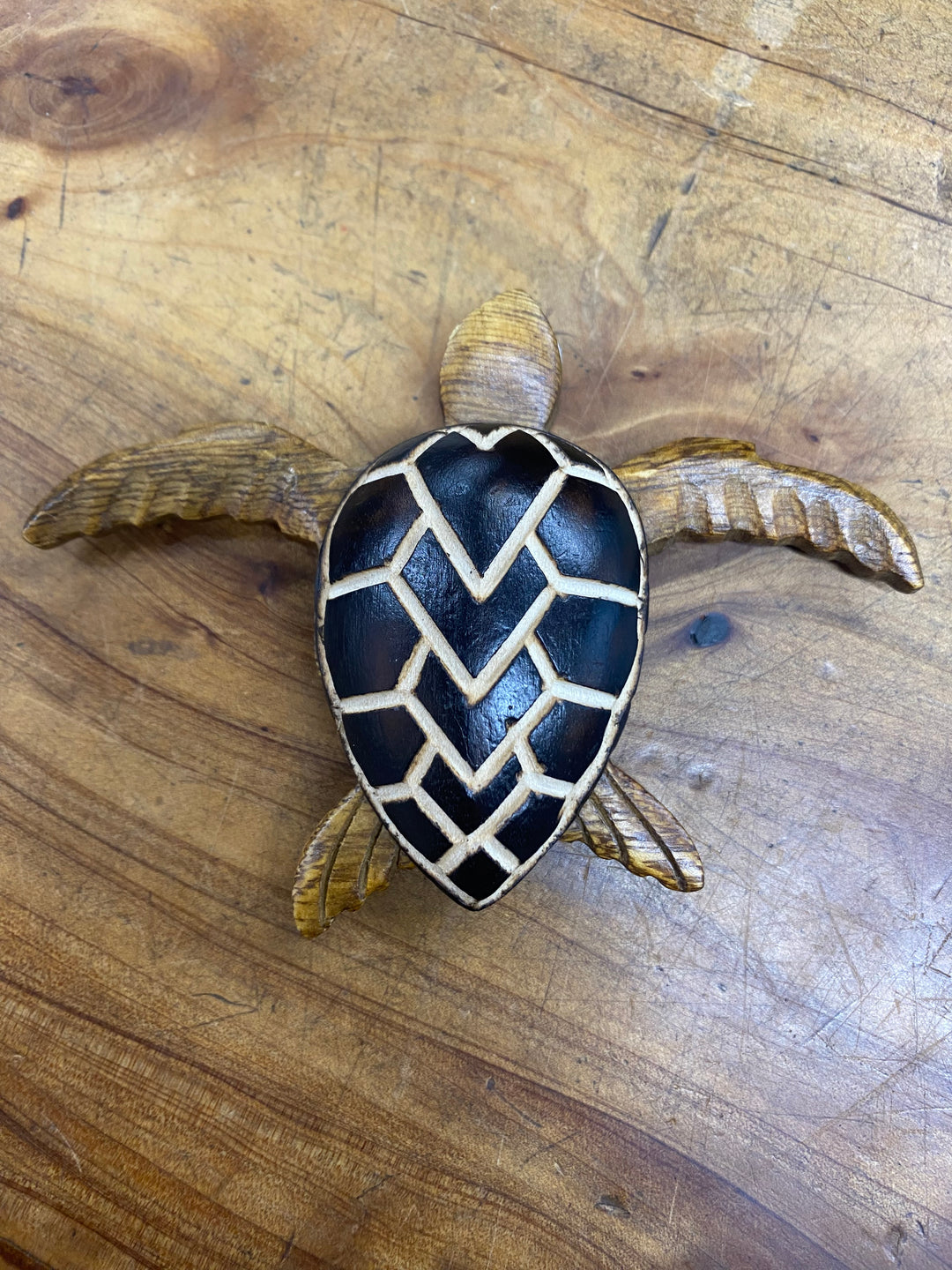 turtle magnet